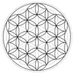 flor de la vida codigo sagrado