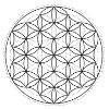 la flor de la vida - escuela de geometria sagrada