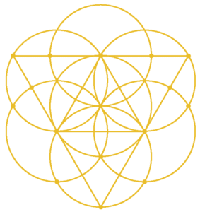 semilla de la vida el codigo sagrado