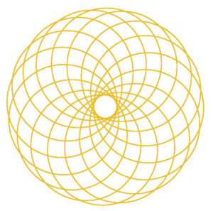 el toroide el codigo sagrado